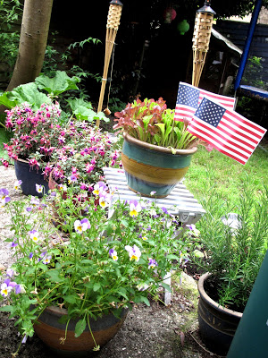 flags back garden