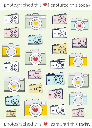 Cameras A5 Download