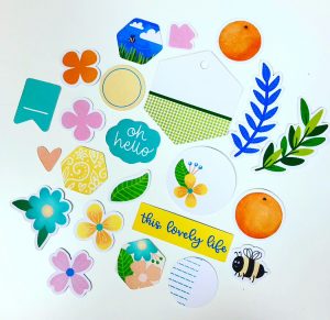 Orange Blossom Die Cuts