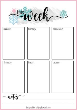 January Download Bundle - Image 2