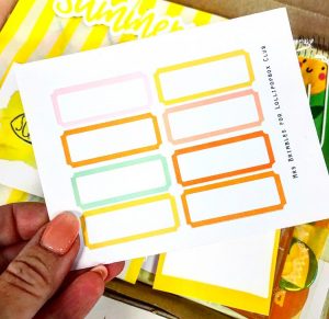 Box Stickers Summer