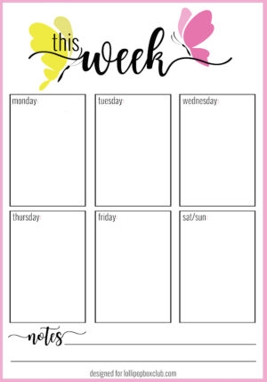 May Download Bundle - Image 3