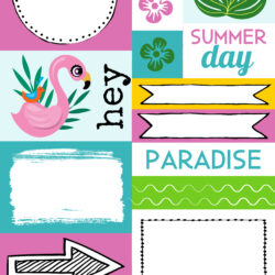 August Download Bundle