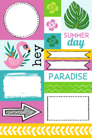 August Download Bundle