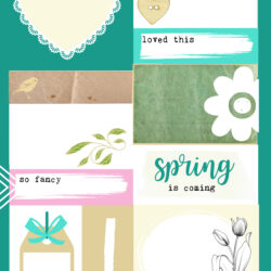 February Download Bundle